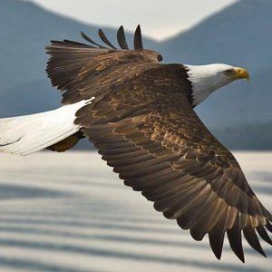 Meet your Posher, Ruth